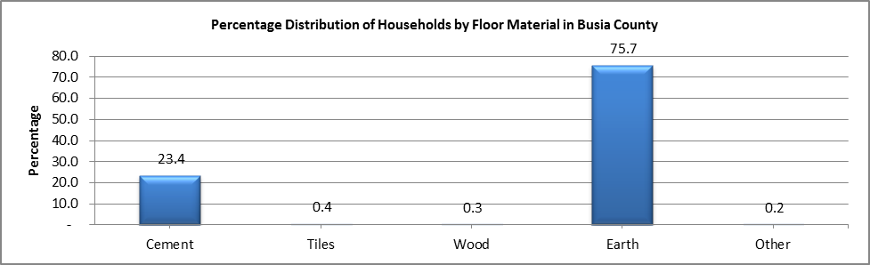 Busia - Floor Material