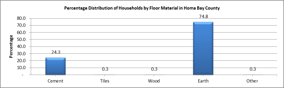 Homa Bay - Distribution of households by floor...