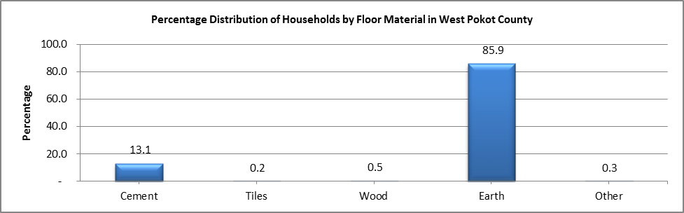 West Pokot - Floor Material